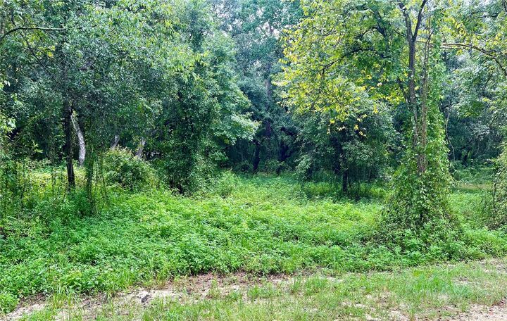 Property Photo:  Polaris Road  FL 33523 