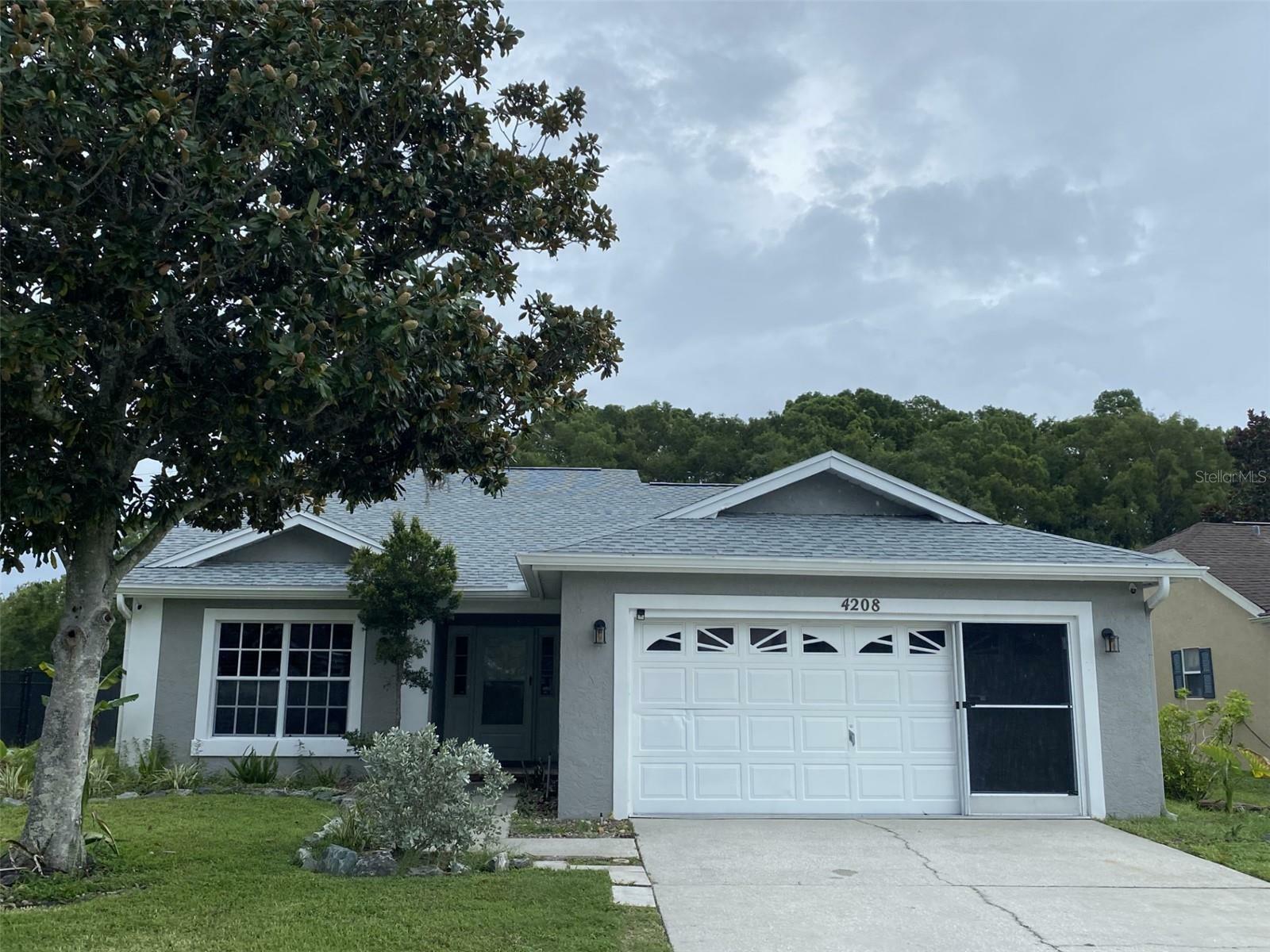 Property Photo:  4208 Andover Street  FL 34653 