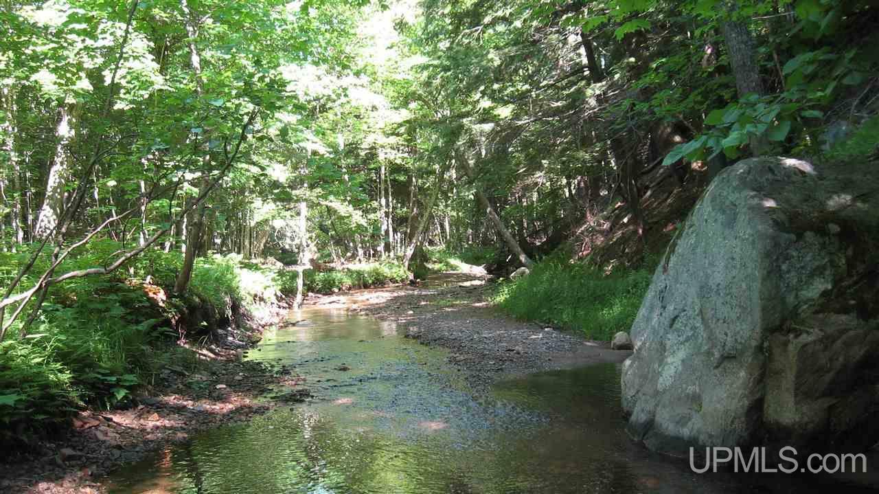 Property Photo:  000 Near Big Bay  MI 49855 