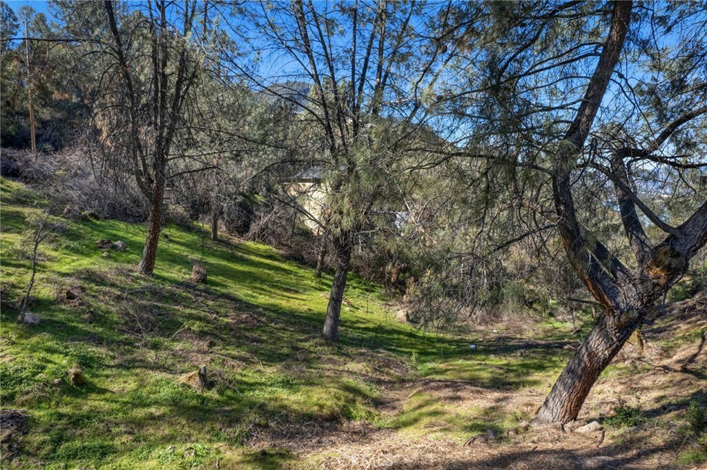 Property Photo:  4983 Iroquois Trail  CA 95451 