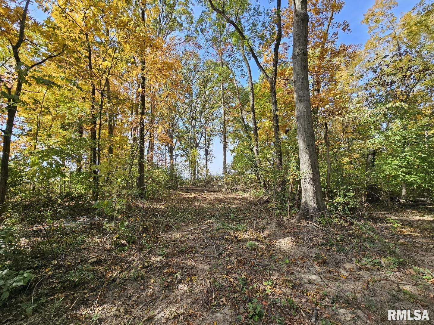 Property Photo:  0000 N Cash Lane  IL 62894 