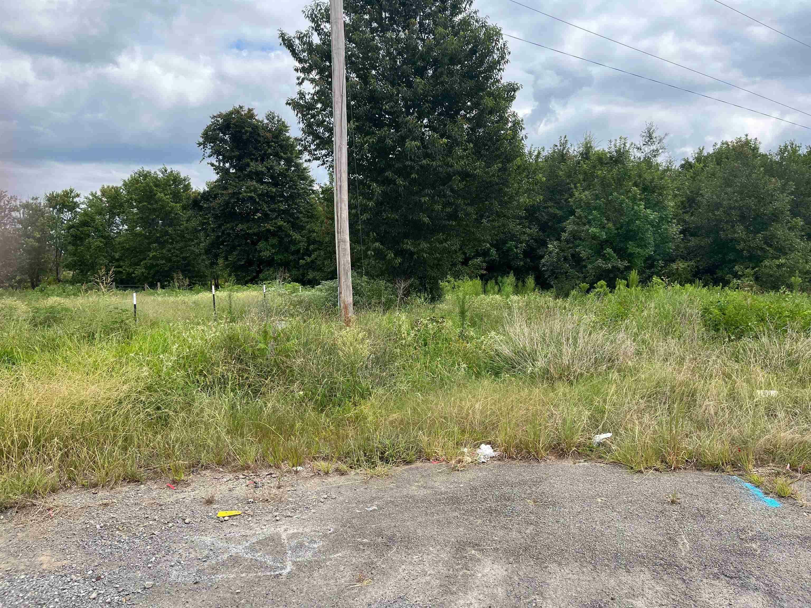 Property Photo:  Lot 120-R Stacey Cove  AR 72173 