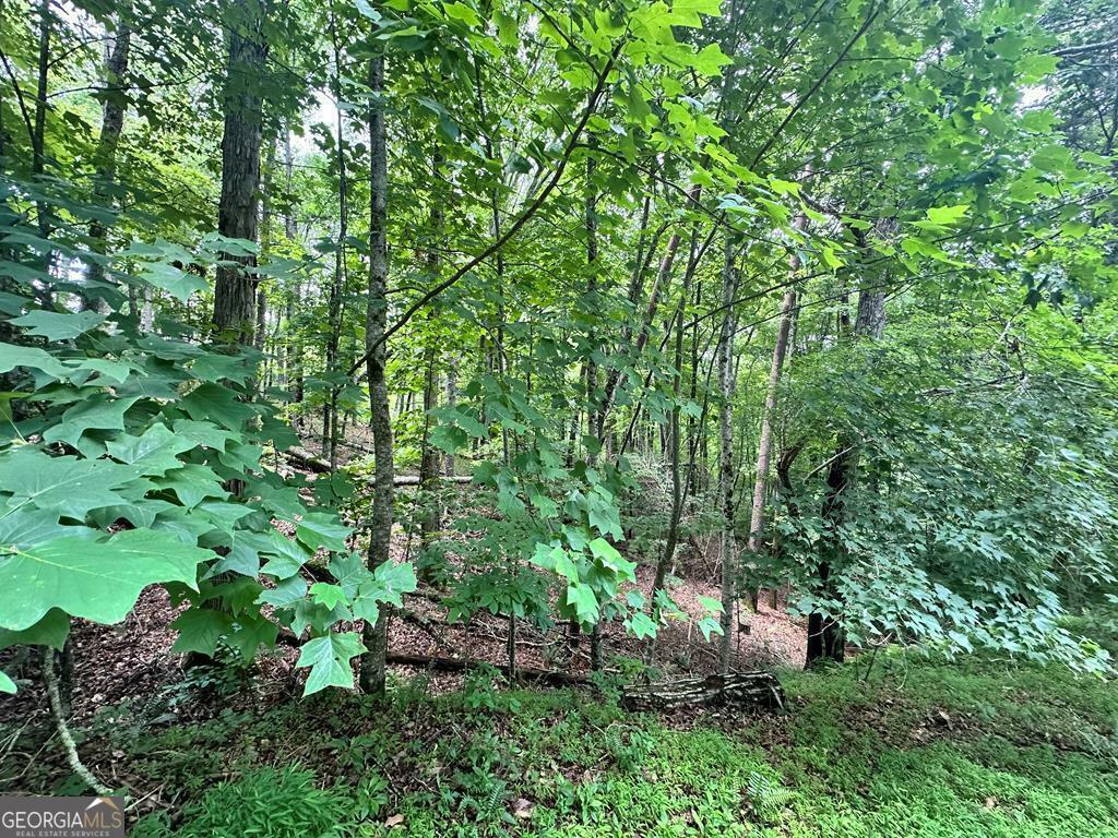 Property Photo:  Lot 4 Browns Cove Road  GA 30513 