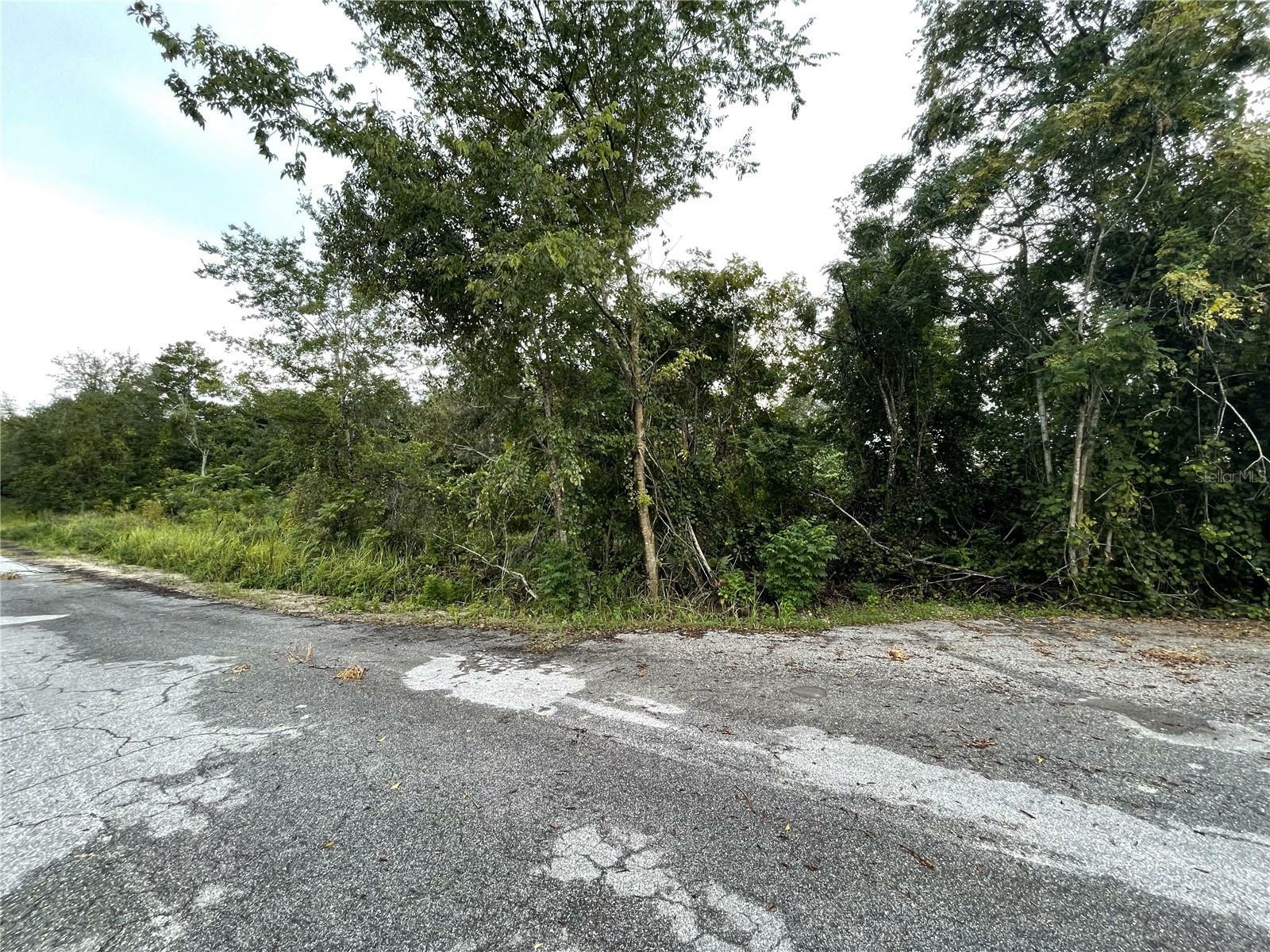 Property Photo:  Tbd Hickory Track Drive  FL 34472 