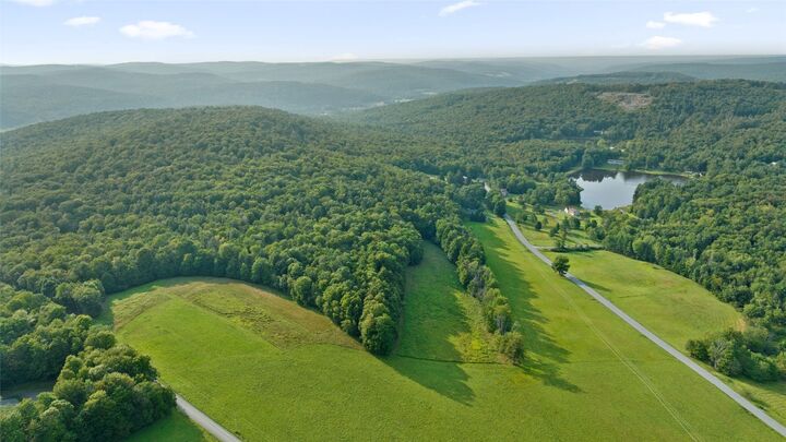 0 Quaker Lake Road  Brackney PA 18812 photo