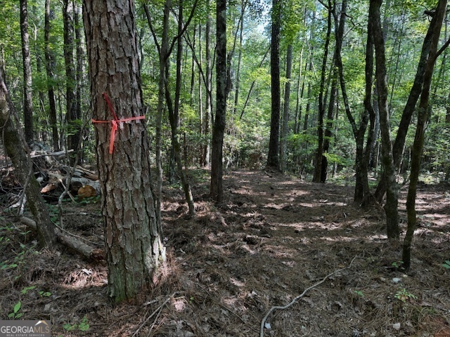 Property Photo:  2845 Highway 212  GA 30016 