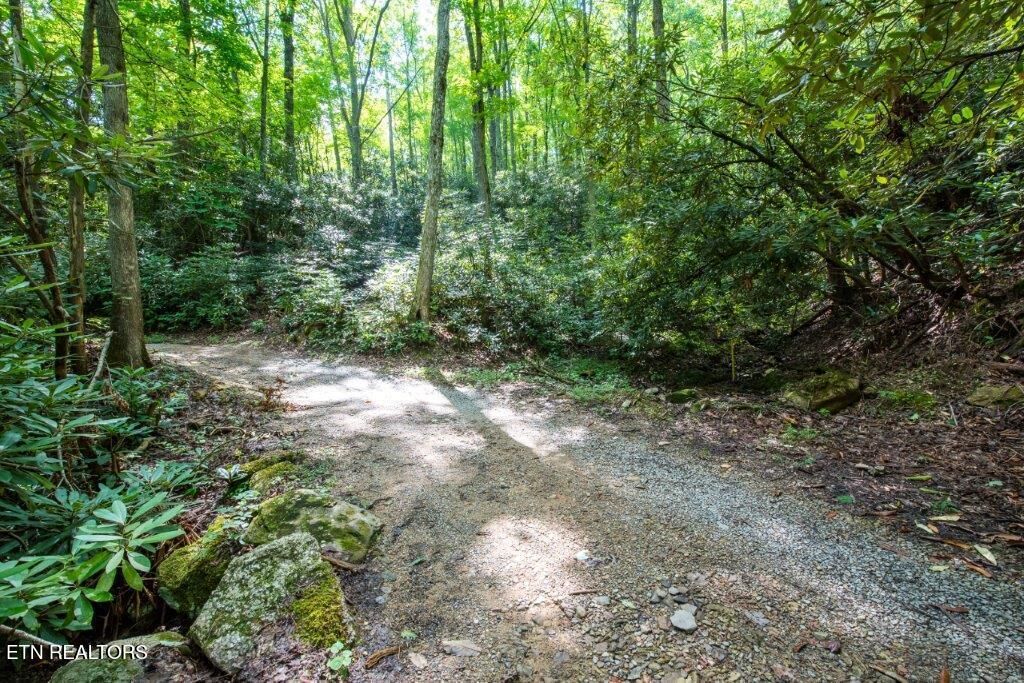 Property Photo: 10 Acres Carrs Creek Rd TN 37882