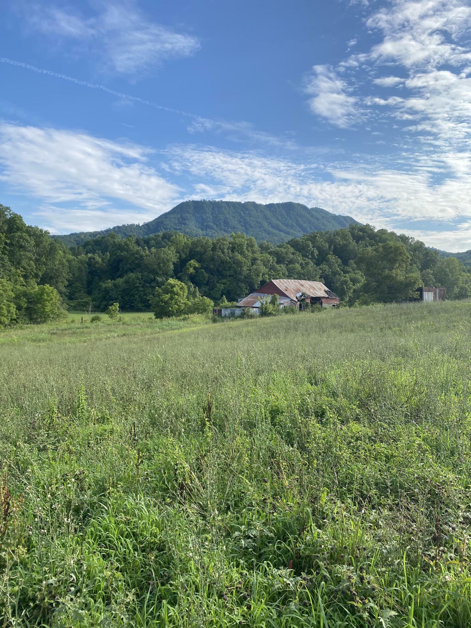 Property Photo:  1415 /1331 Sugar Loaf Road  TN 37862 