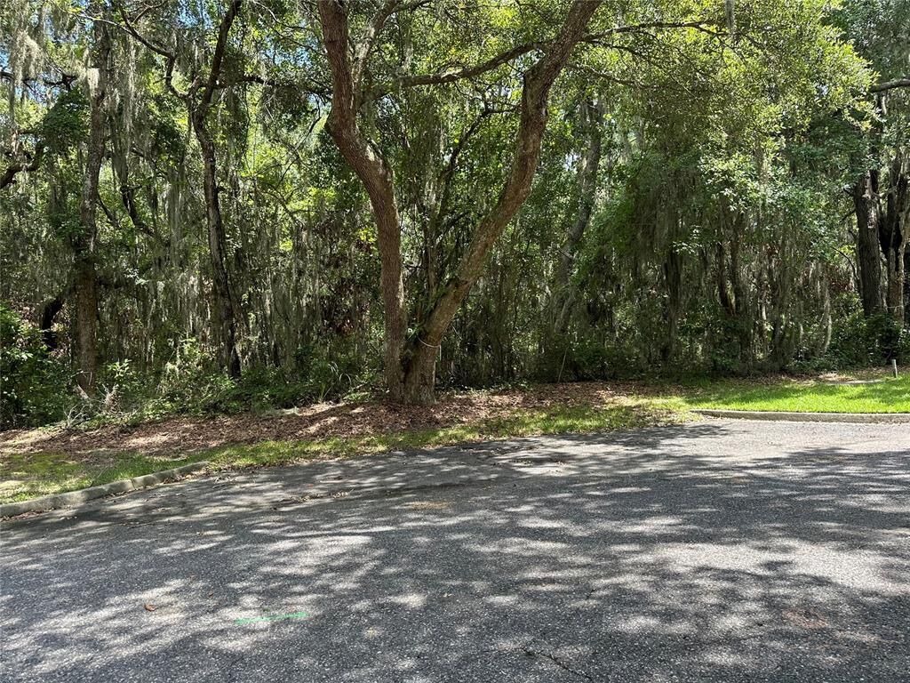 Property Photo:  9550 Spring Blossom Lane  FL 32034 