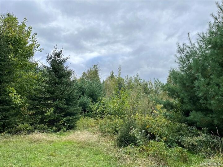 Property Photo:  2 Acres Craigville Road  NB E1N 5W1 