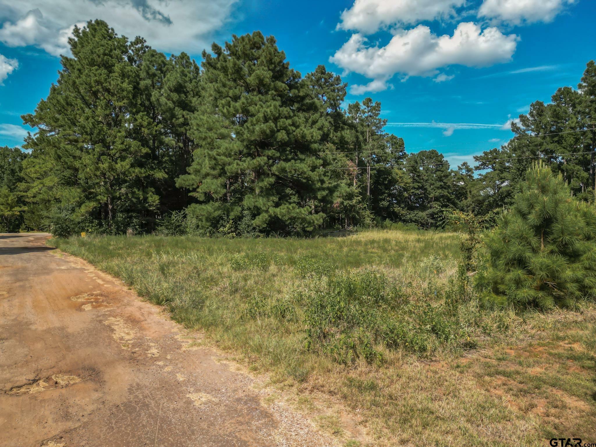 Property Photo:  Tbd Lake Gladewater Dr.  TX 75647 