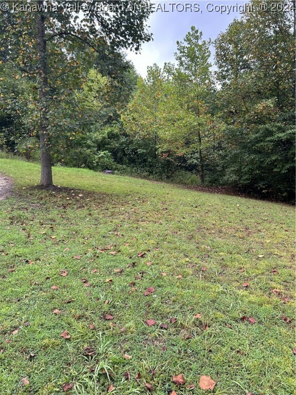 Property Photo:  Lot 6 Foster Road  WV 25081 