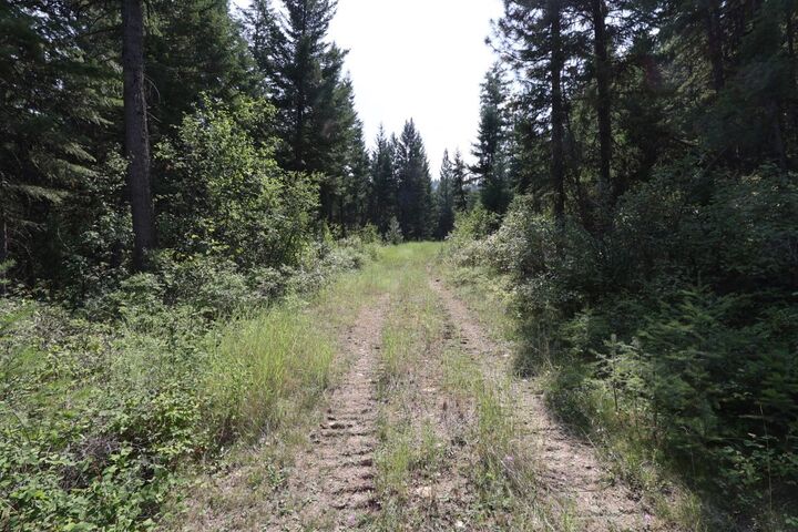 Property Photo: Nhn Tract 1C E Fork Combest Creek Road MT 59859