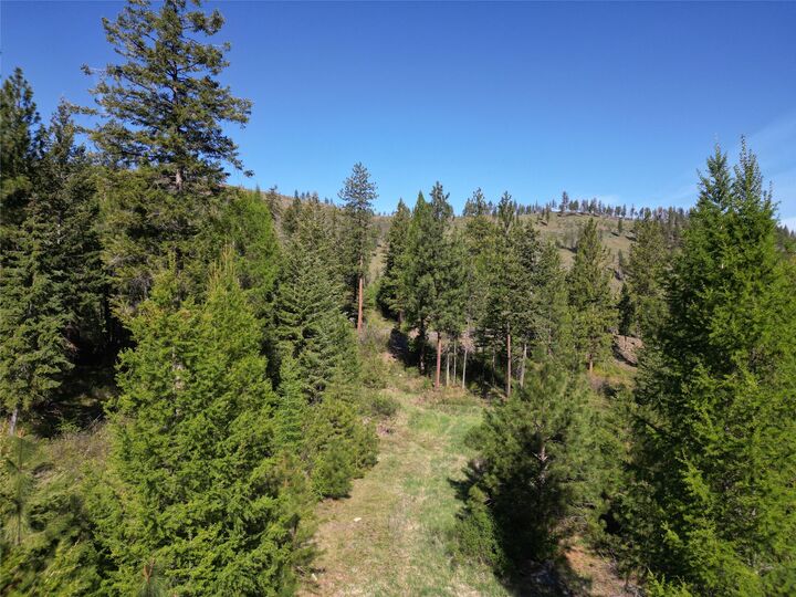 Property Photo:  Nhn Tract 1C E Fork Combest Creek Road  MT 59859 