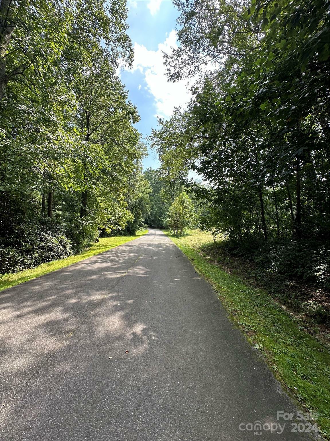 Property Photo: 00 Old Haywood Road NC 28759