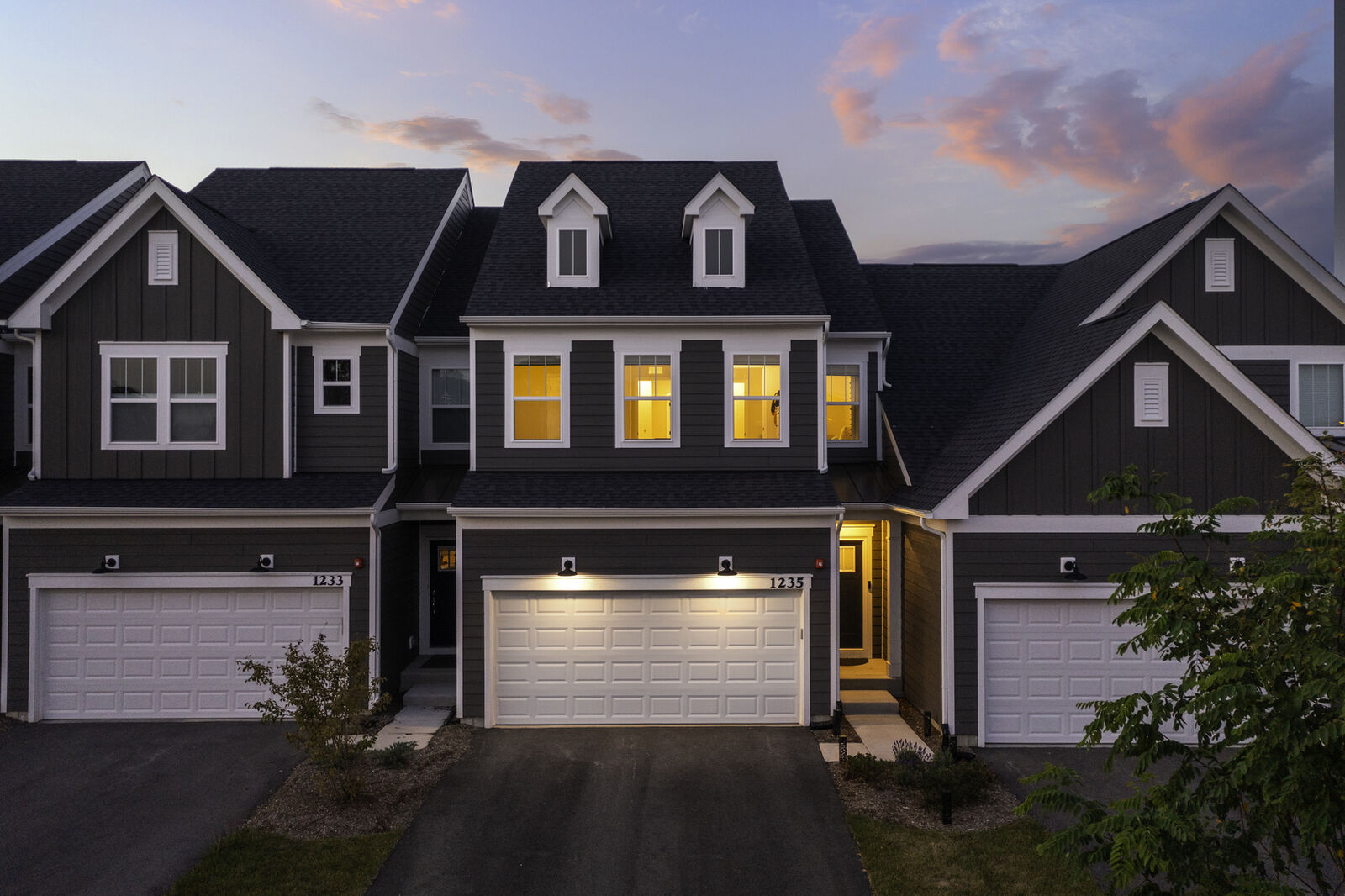 Property Photo:  1235 Josiah Road  IL 60563 