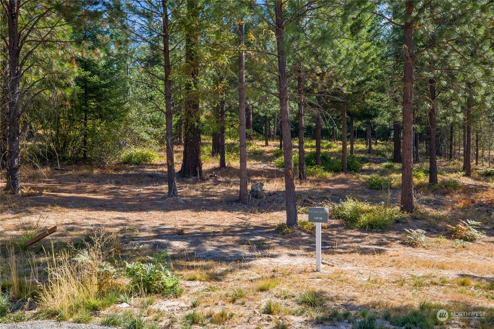 Property Photo:  39 Old Grove Trail  WA 98922 