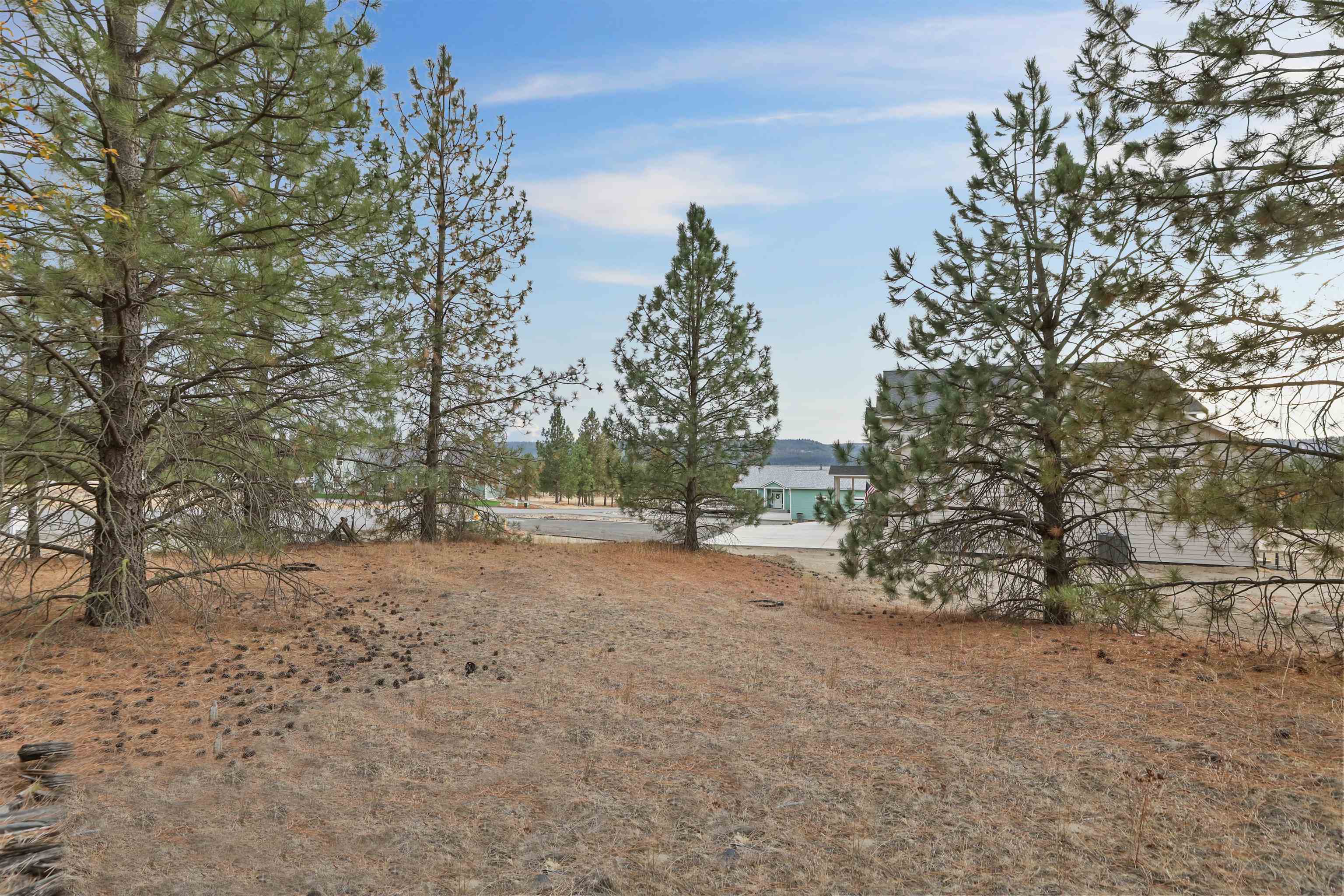 60885 Westview Dr Lot 44  Nine Mile Falls WA 99026 photo