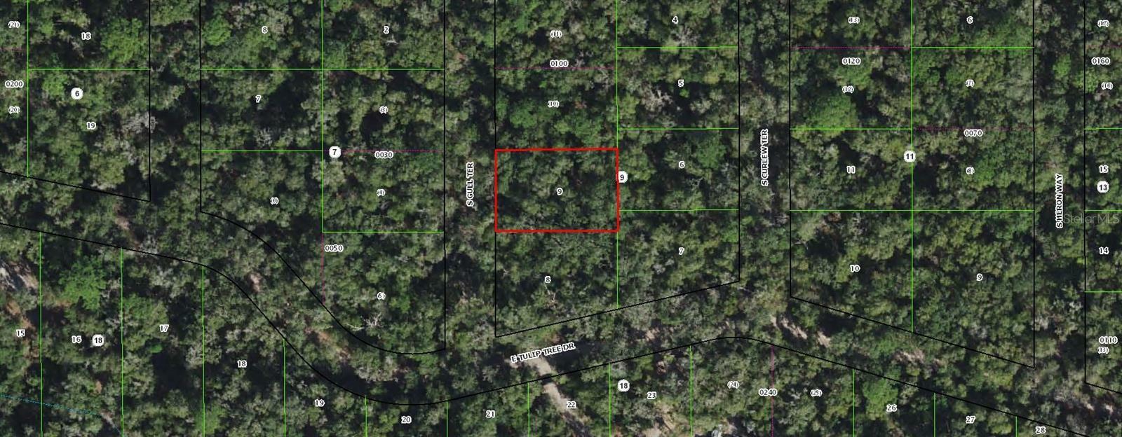 4029 S Gull Terrace  Inverness FL 34450 photo