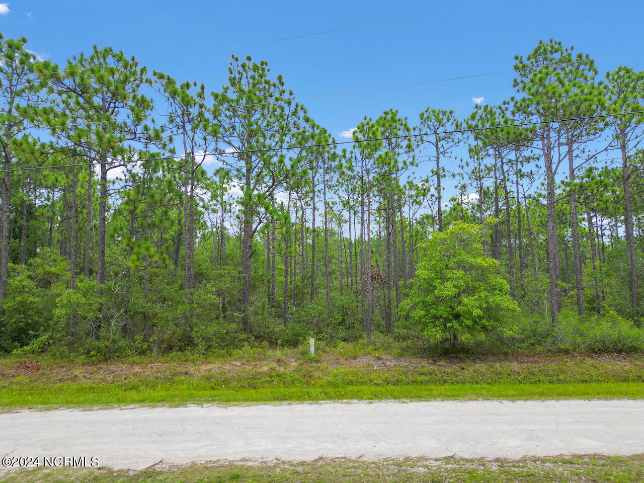 Property Photo:  Lot 414 Bridges Road  NC 28461 