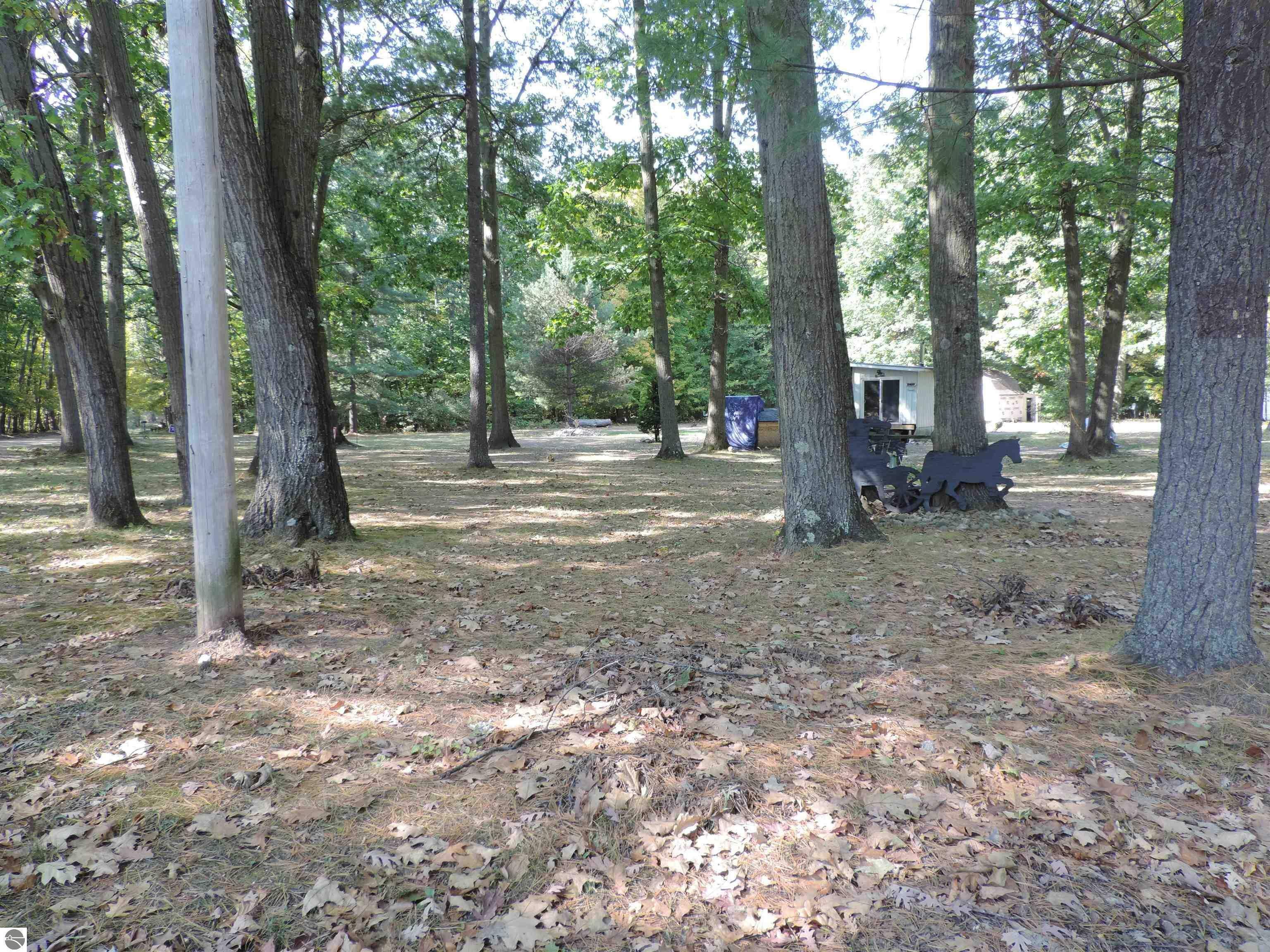 Property Photo:  10459 E Edgar Road  MI 48858 