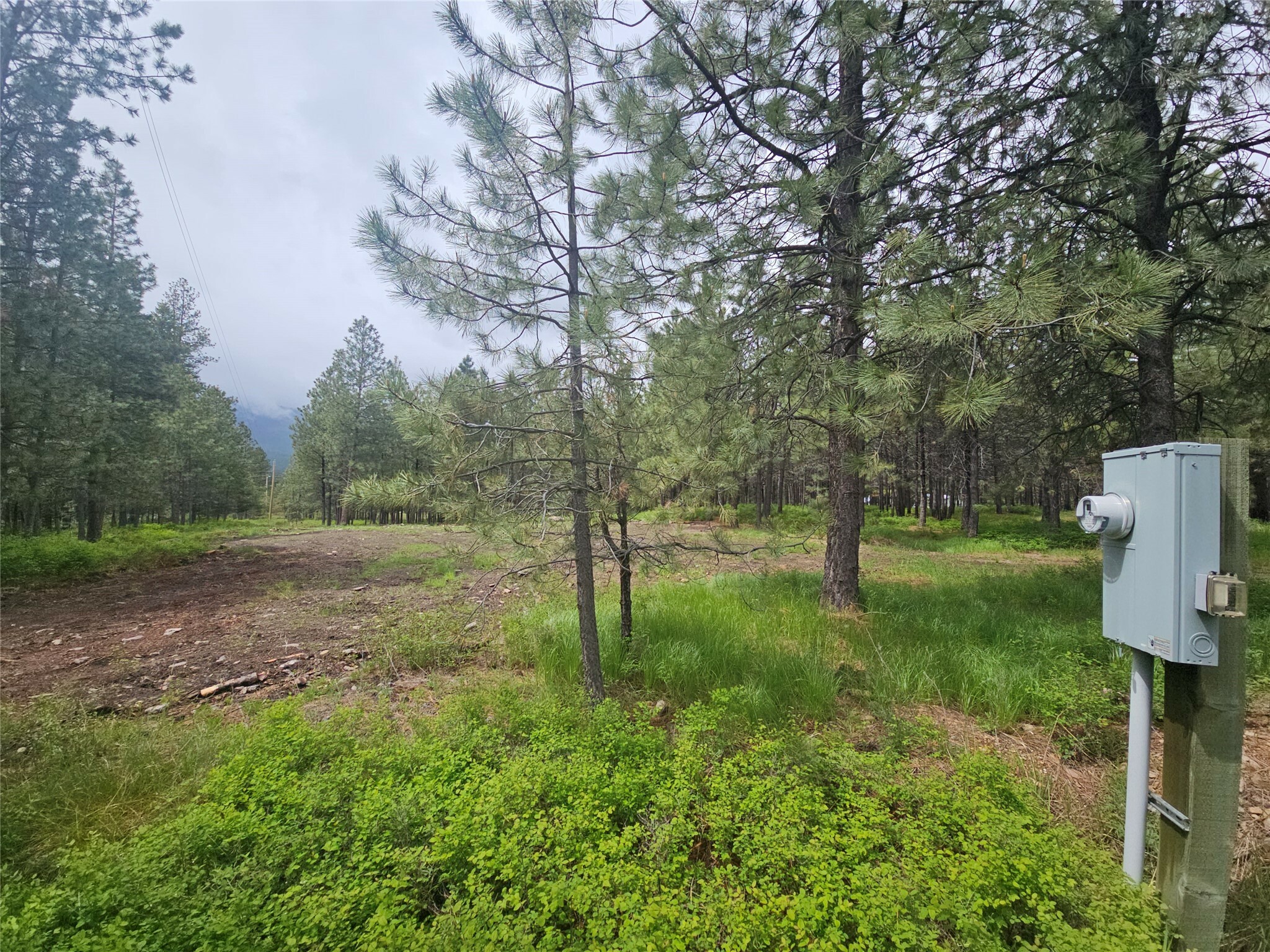 Property Photo:  23355 Sunbilla Drive  MT 59821 