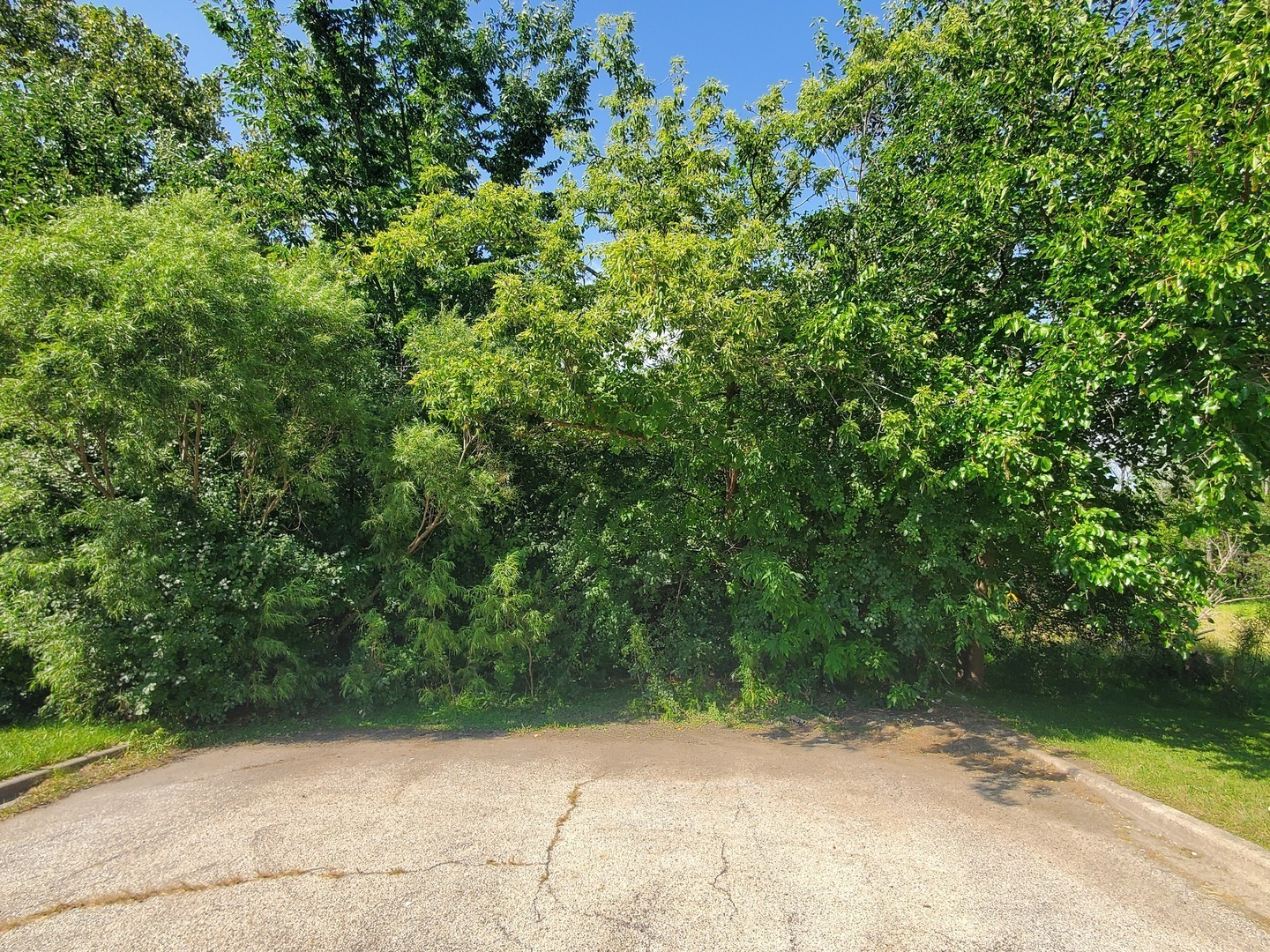 Property Photo:  419 Keller Avenue  IL 60085 