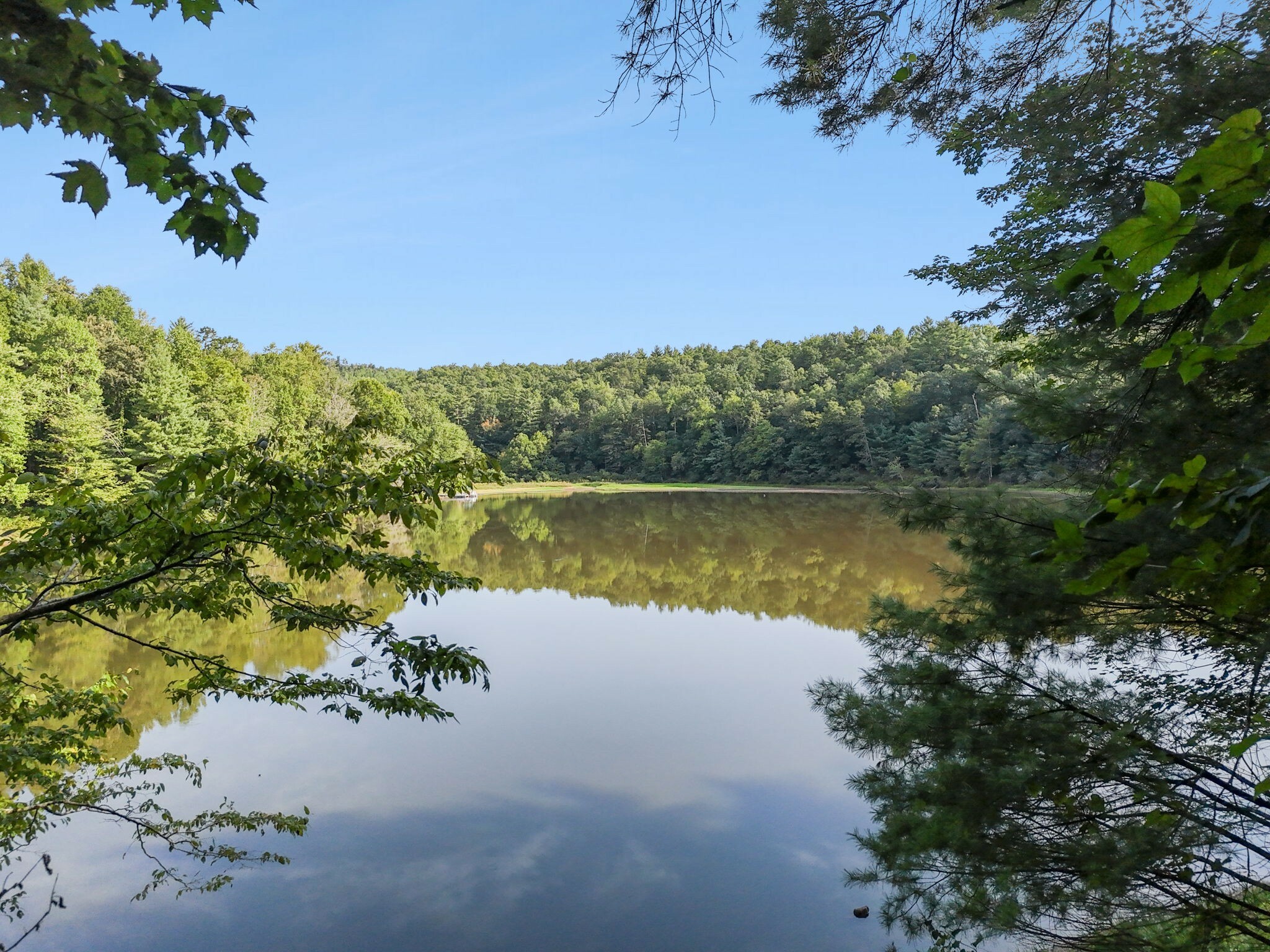 Property Photo:  0 Bear Den Trail  TN 37337 