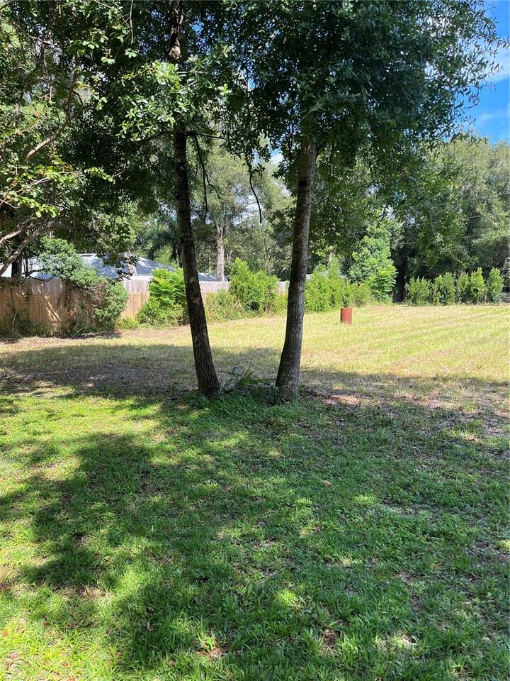 Property Photo:  220 Birch Avenue  FL 32763 