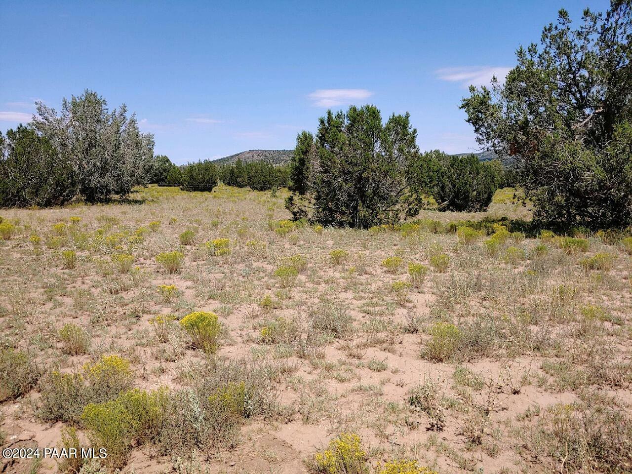 Property Photo:  40670 W Scout Trail  AZ 86337 