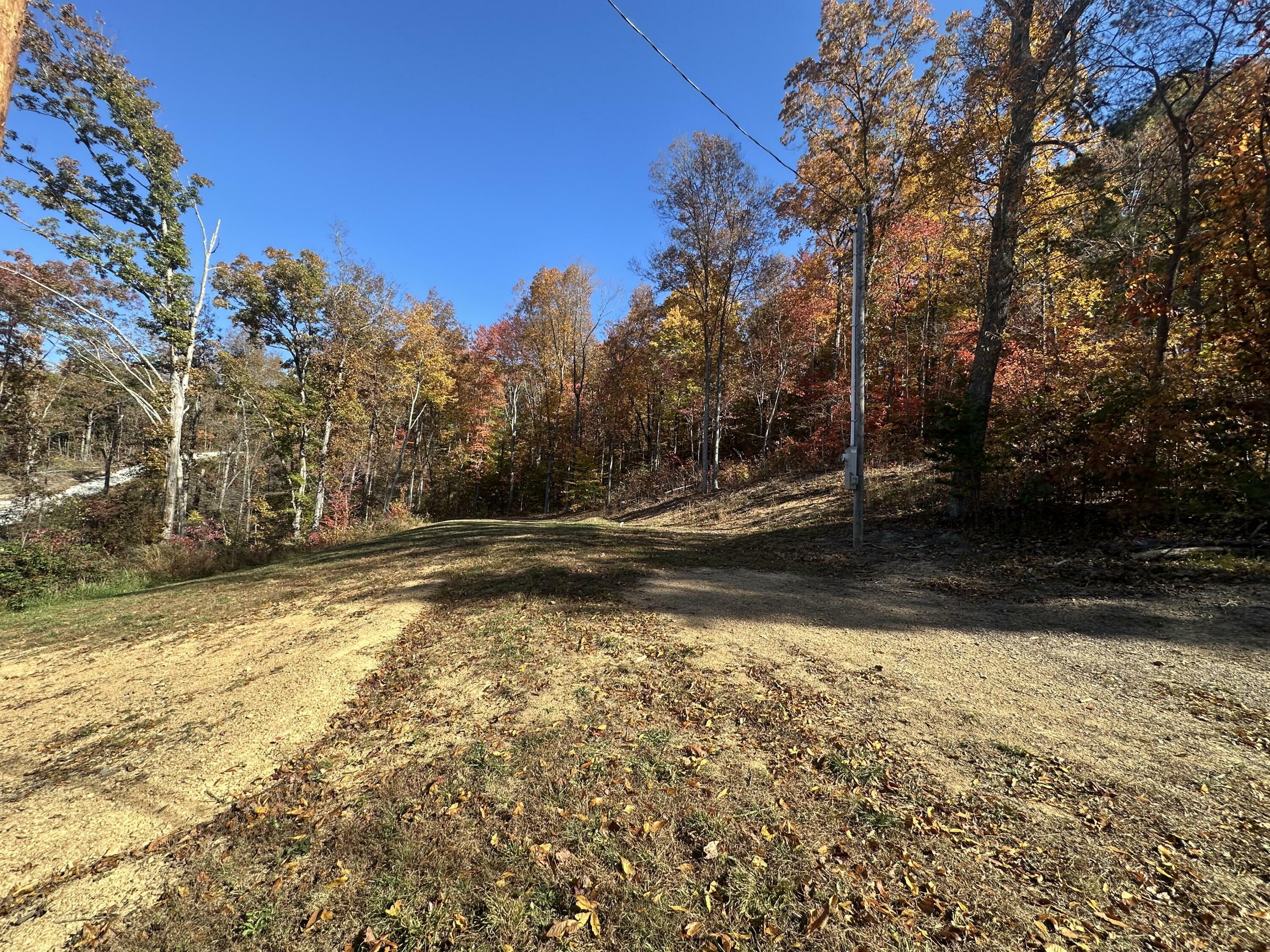 Property Photo:  425 Freeman Branch Road Lot 9  KY 40729 