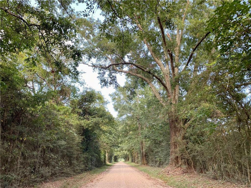 Property Photo: E Stateline Road MS 39478