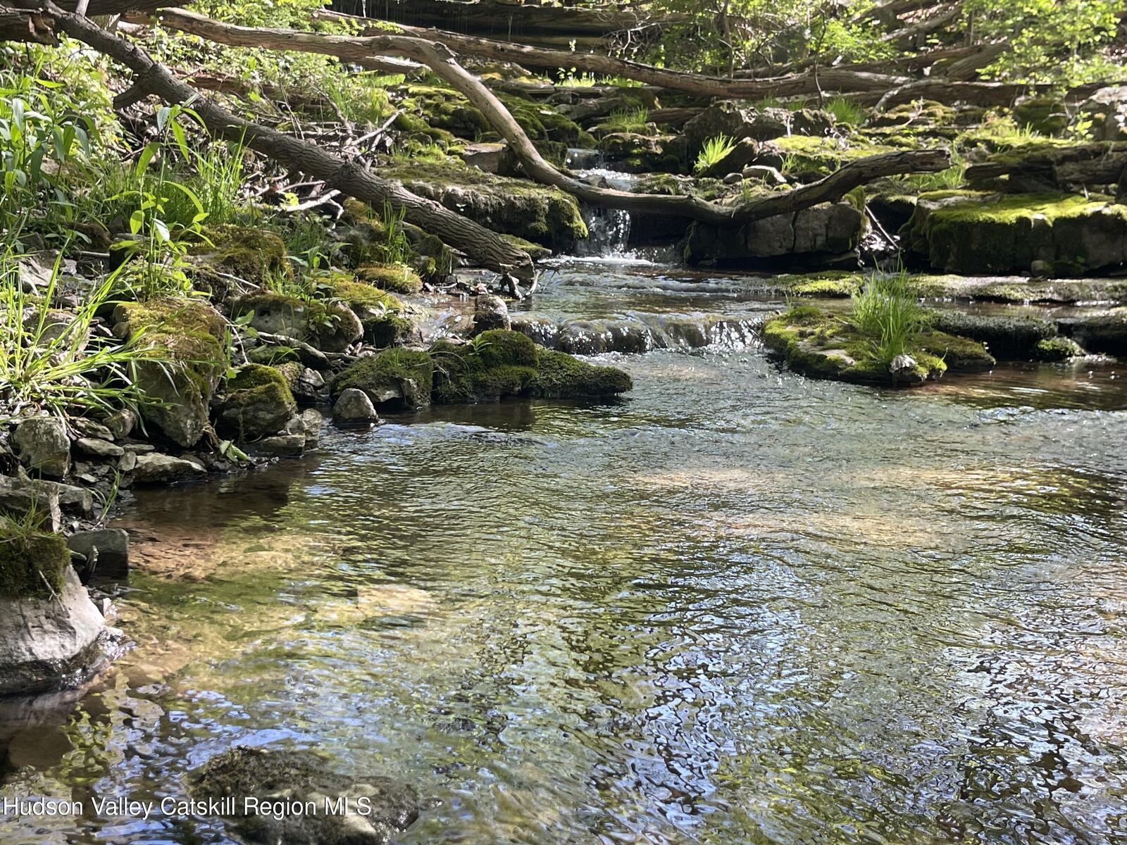 Property Photo:  75 Tool House  NY 12414 