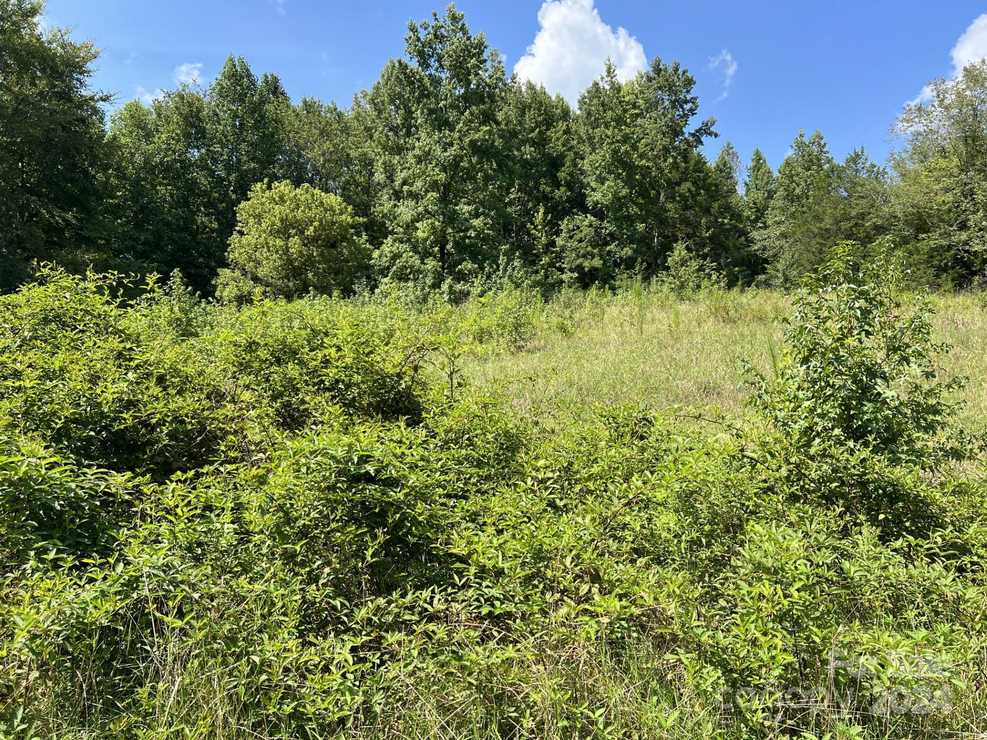 Property Photo:  00 Hastings Drive  NC 28001 