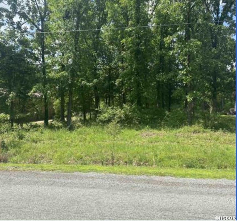 Lot 1570 Diamondhead Drive  Hot Springs AR 71913 photo