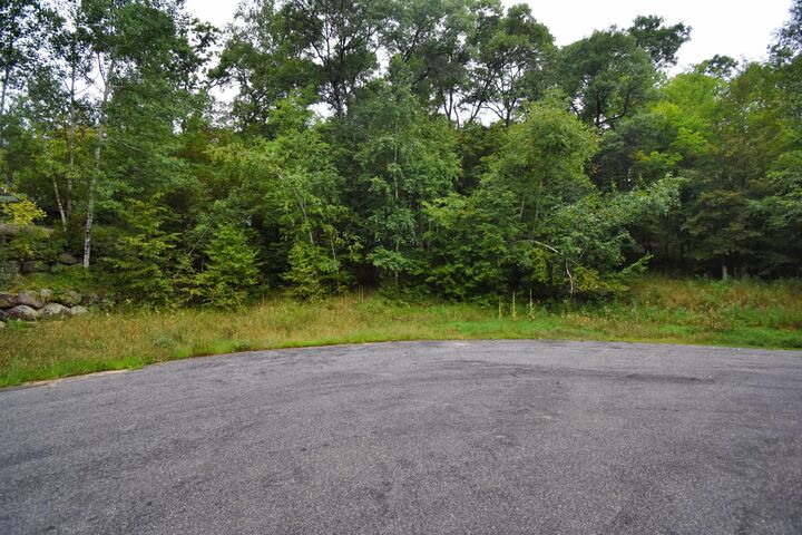Property Photo:  Tbd Osceola Circle  MN 56472 
