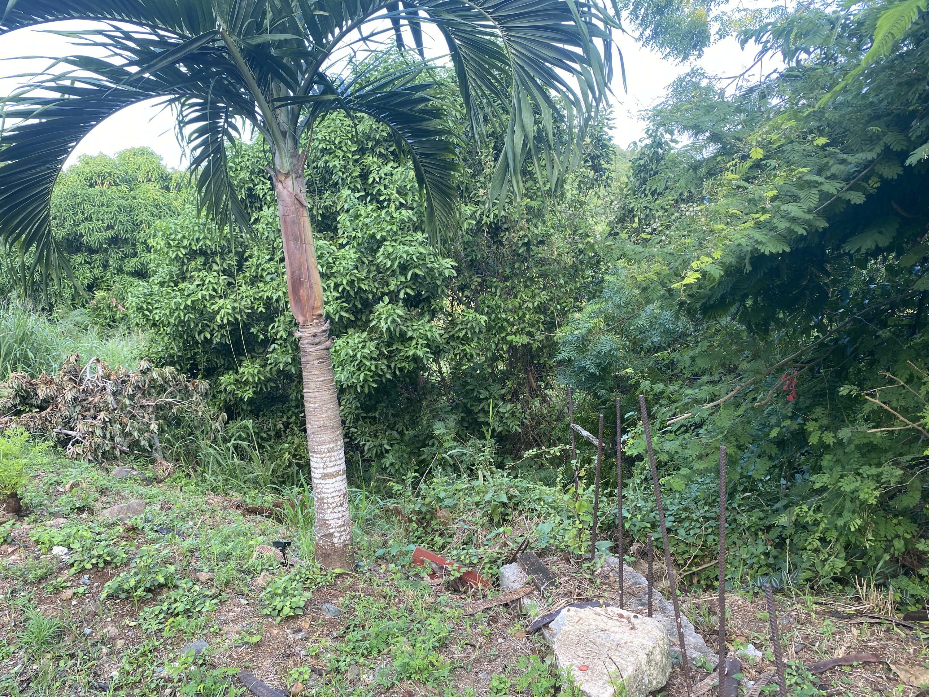 Property Photo:  14 G Bonne Esperance We  VI 00802 