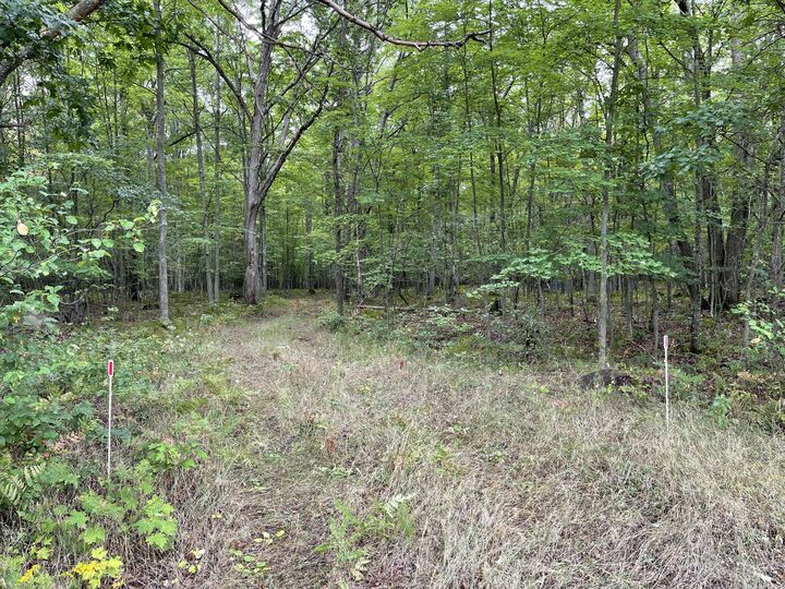 Xxx Redwood Road  Roscommon MI 48653 photo