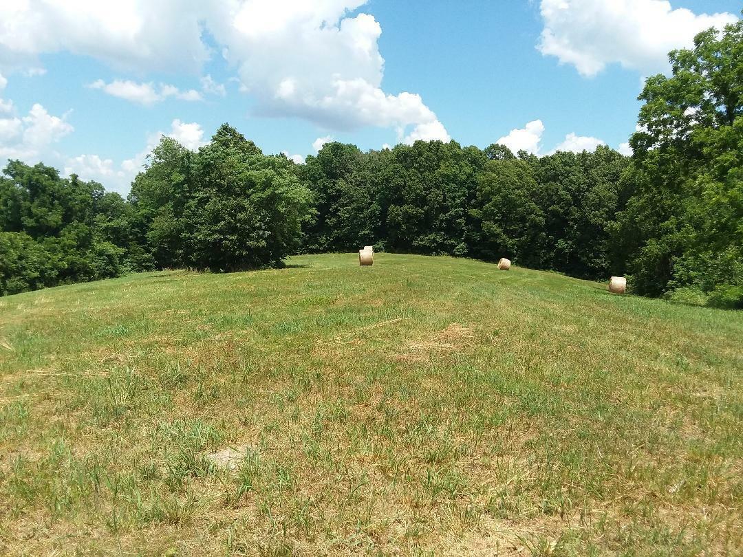 Property Photo:  Tract 2 Schlessman Road  MO 64831 