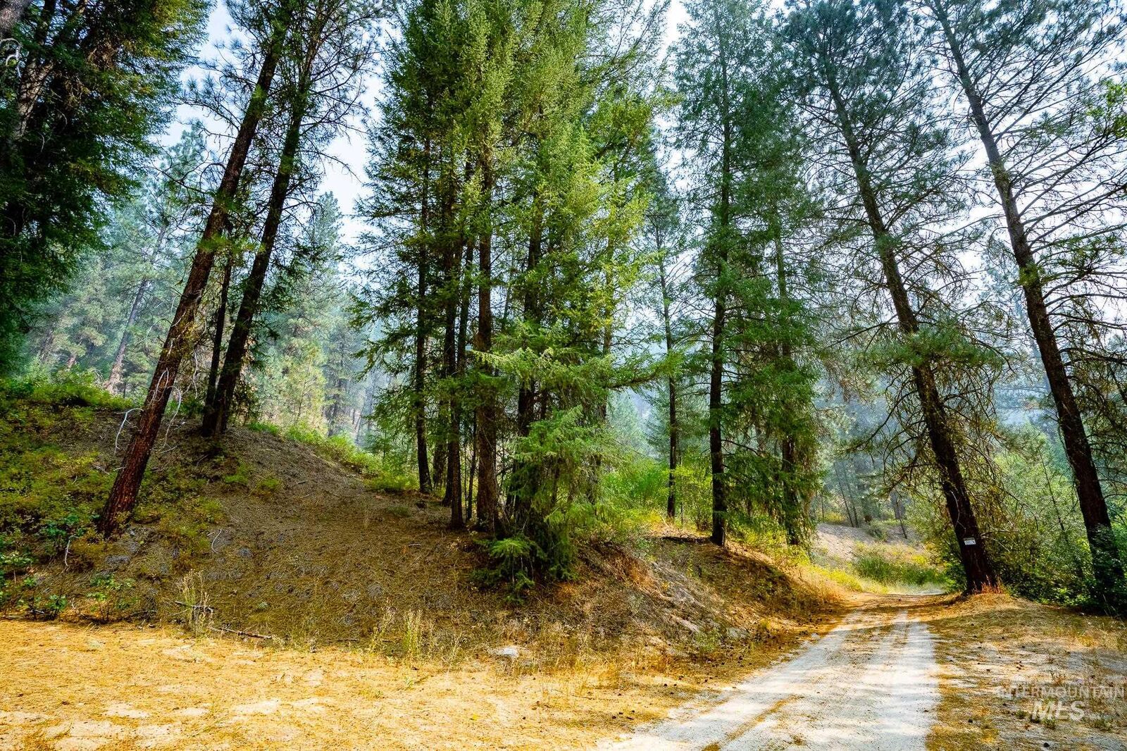 Property Photo:  Tbd Forestland  ID 83716 