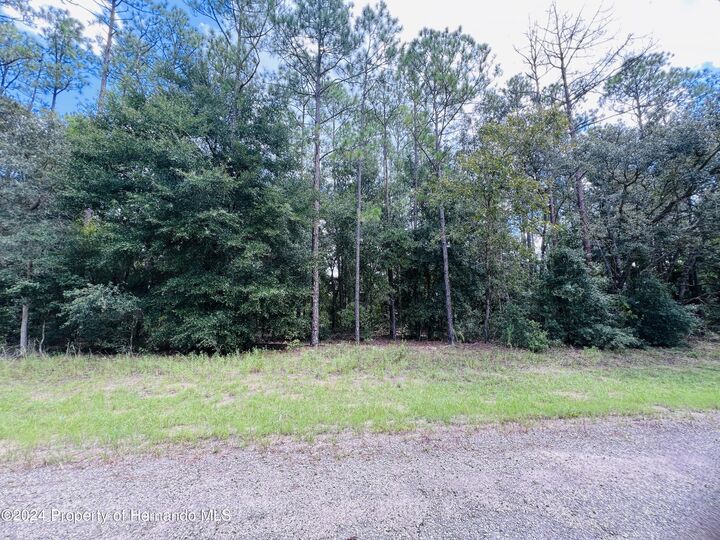 Property Photo:  8681 Wallingford Avenue N  FL 34434 