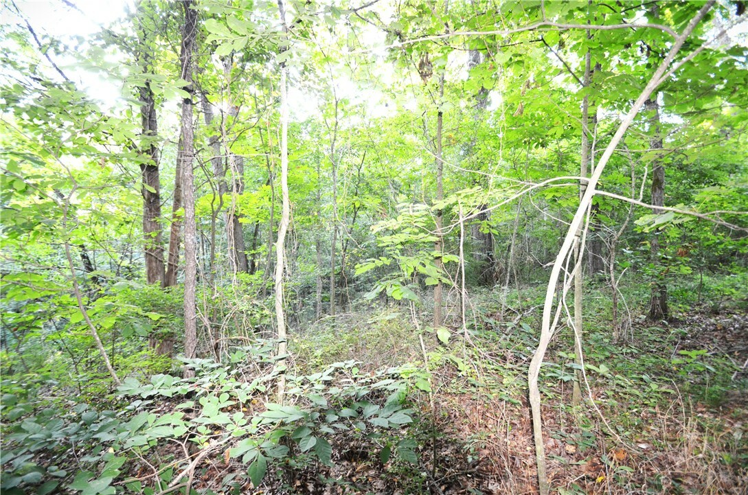 Property Photo:  17746 Driftwood  AR 72703 