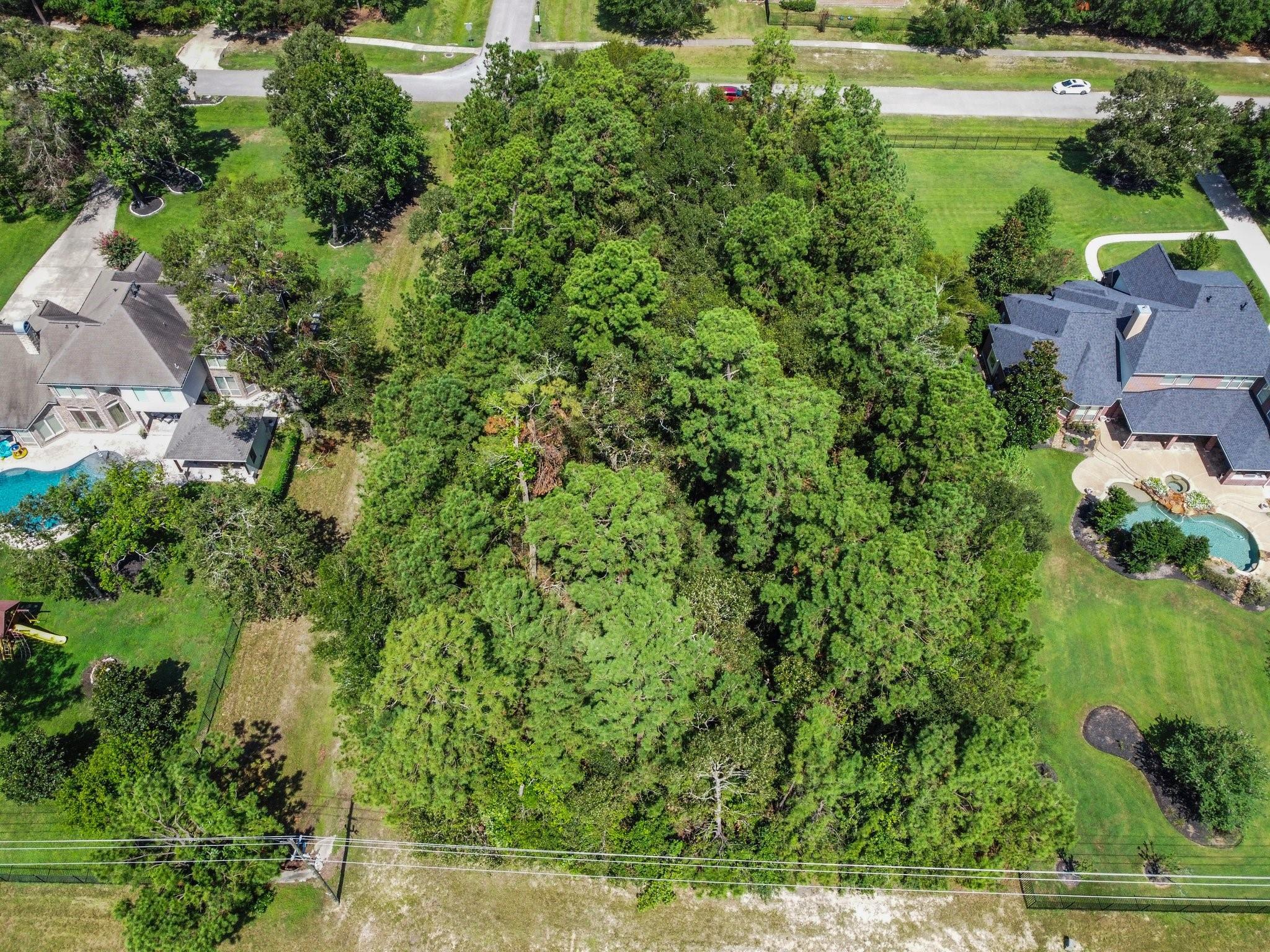 Property Photo:  27410 E Benders Landing Boulevard  TX 77386 