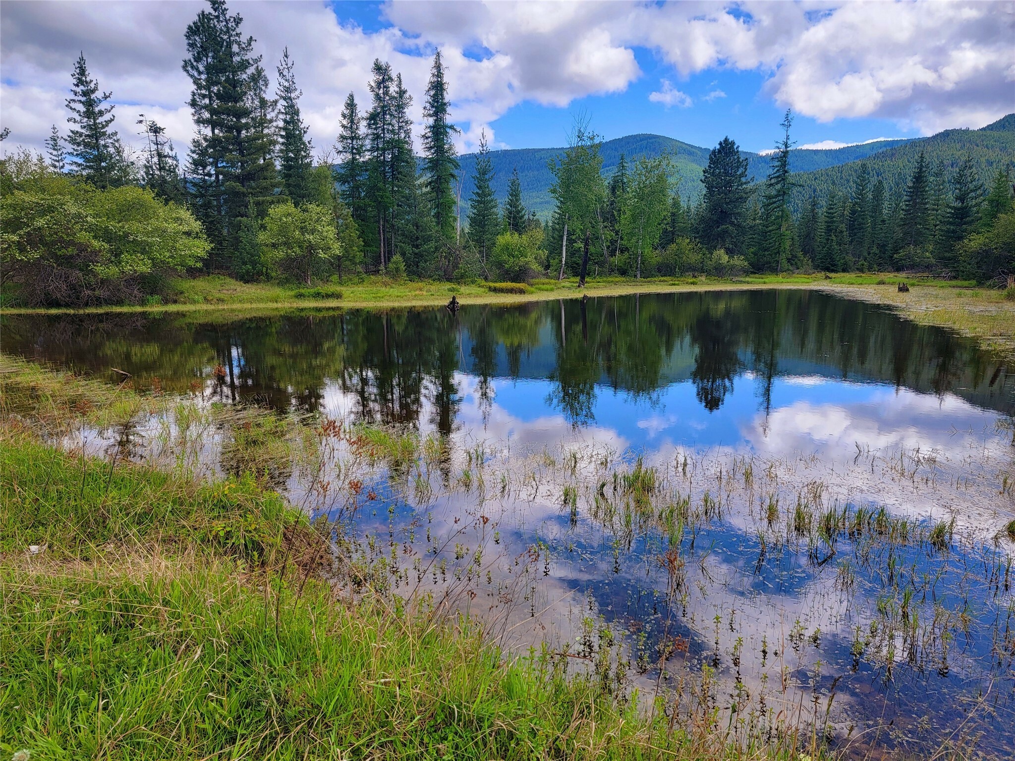 Nhn Trout Creek Road  Trout Creek MT 59874 photo