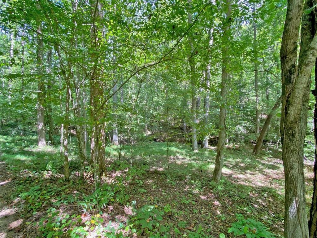 Property Photo:  0 Falling Pines Road  GA 30533 