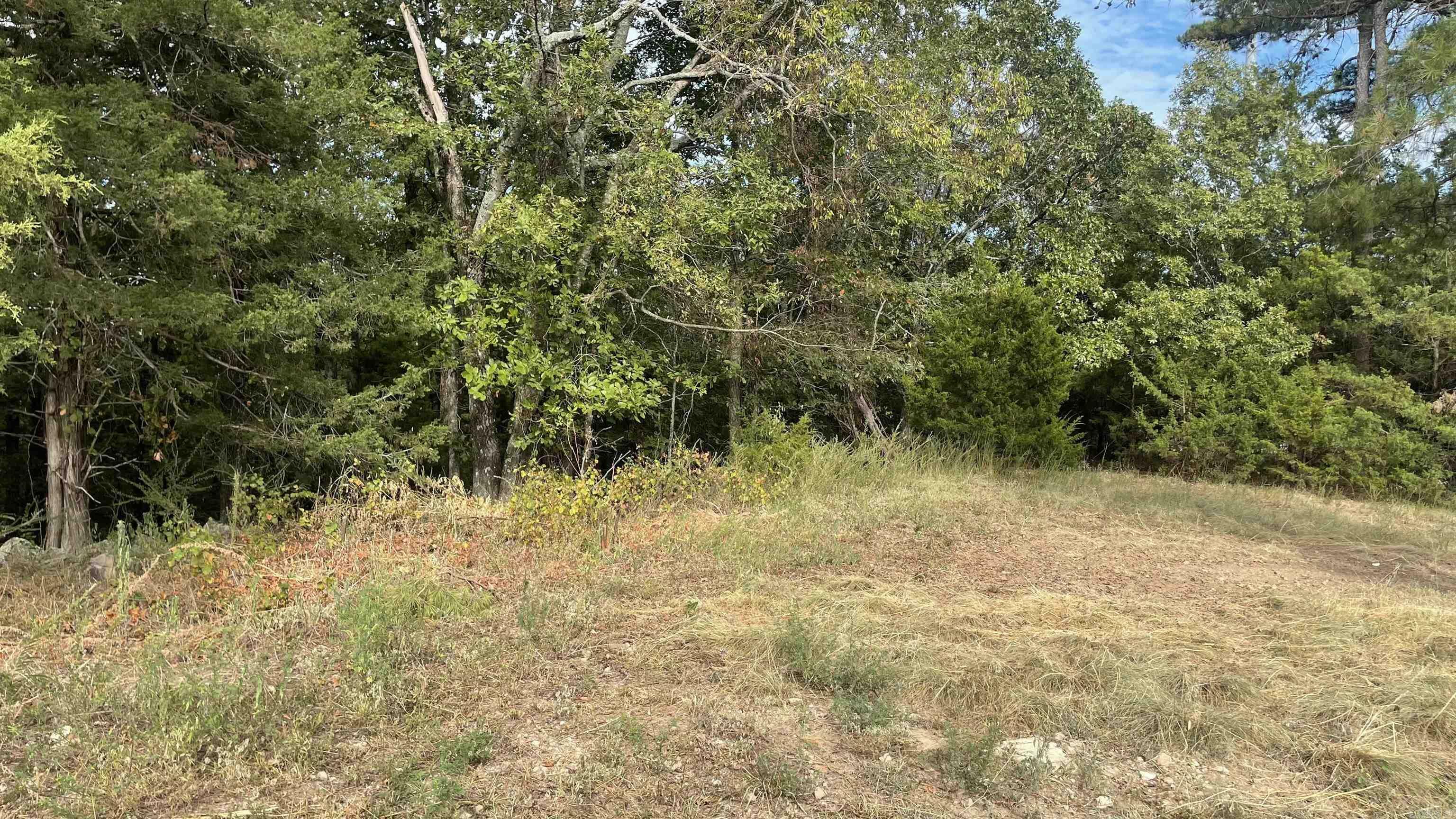 Property Photo:  2410 Pinnacle Ridge Road  AR 72034 