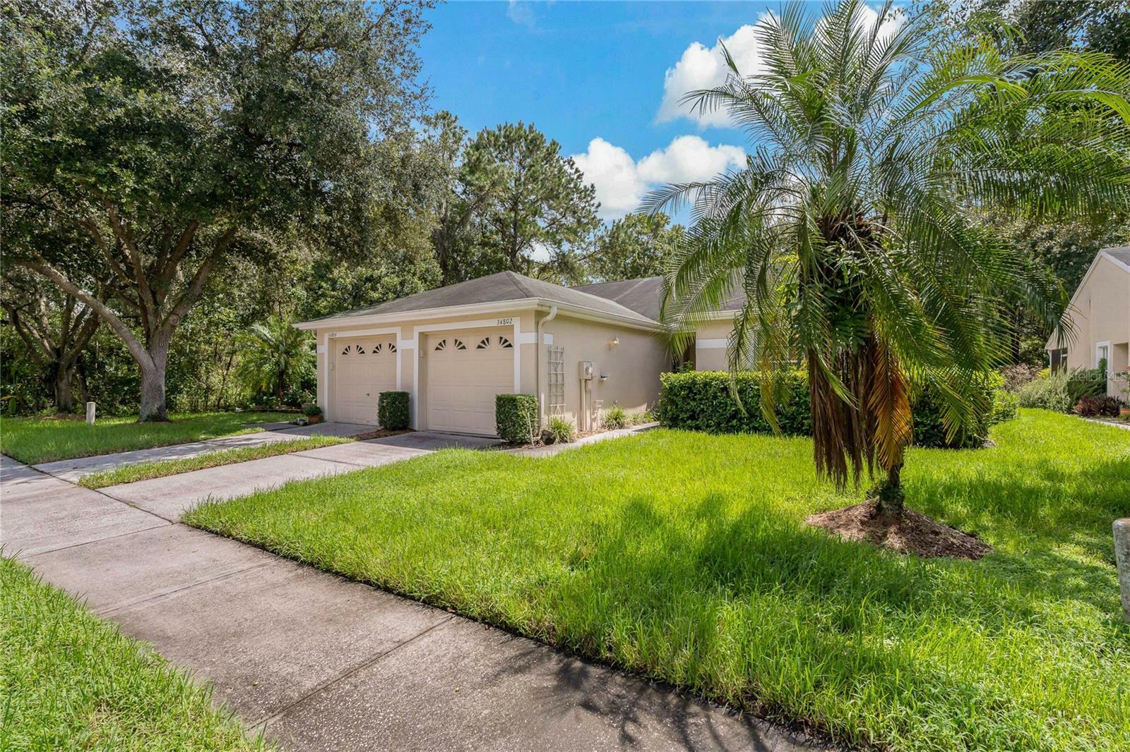 Property Photo:  34802 Double Eagle Court  FL 33541 