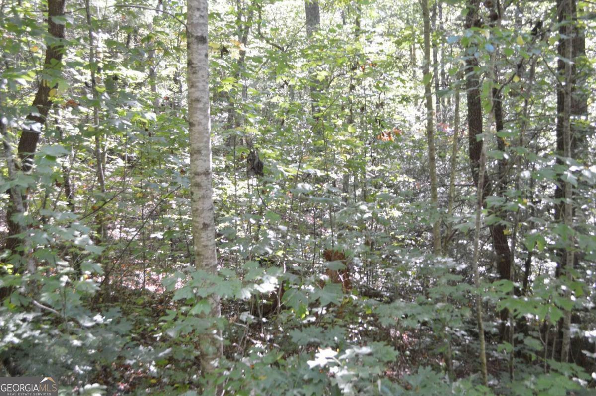 Property Photo:  Lot 5 Hemlock Ridge  GA 30525 