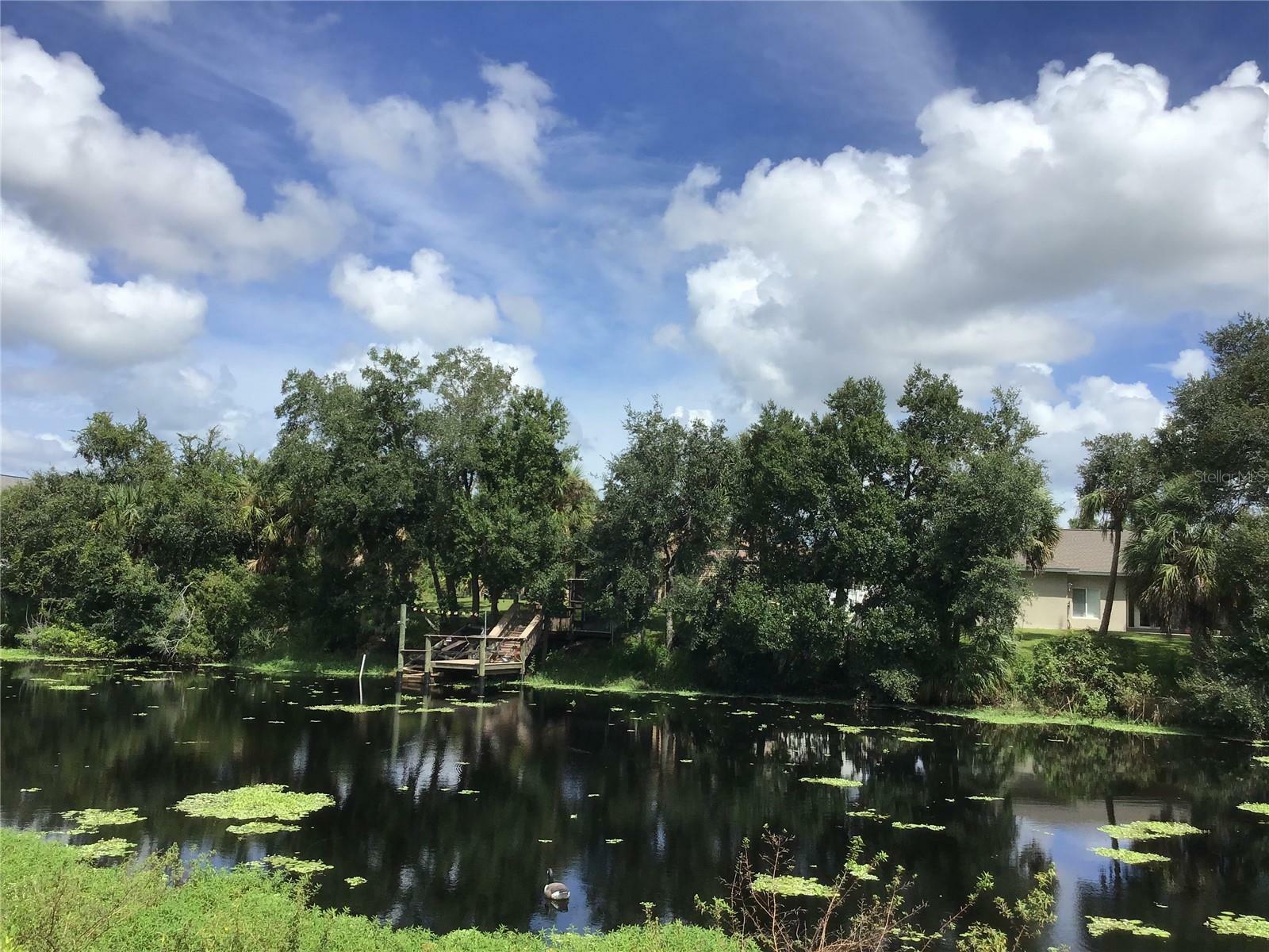 Property Photo:  1292 W Hillsborough Boulevard  FL 34288 