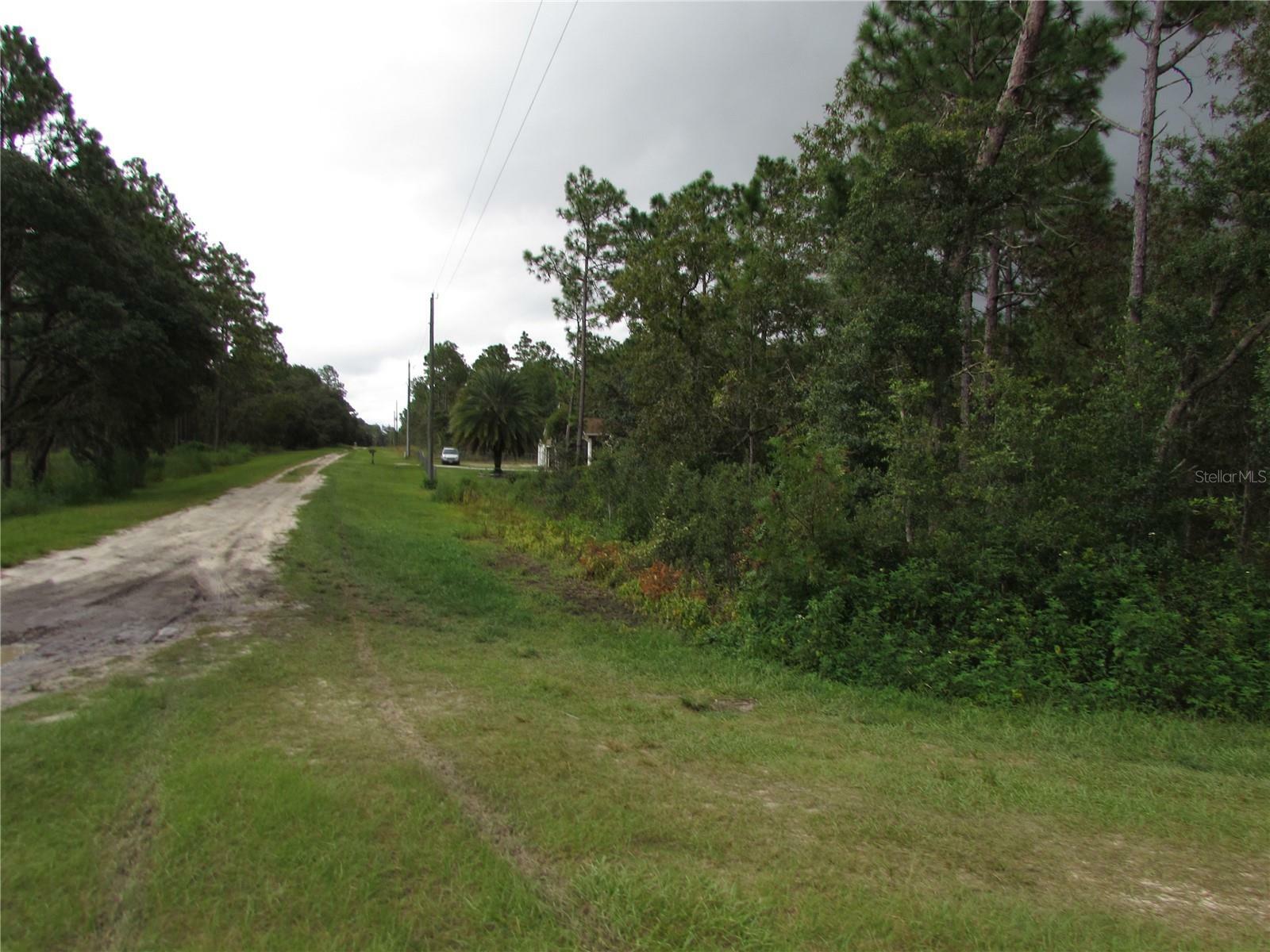 Property Photo:  Lot 13 SW 78th Place  FL 34432 